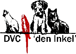 DVC Den Inkel